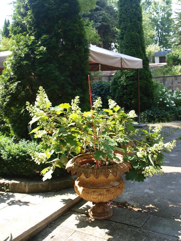 Pension Zur Koeniglichen Ausspanne Дрезден Экстерьер фото