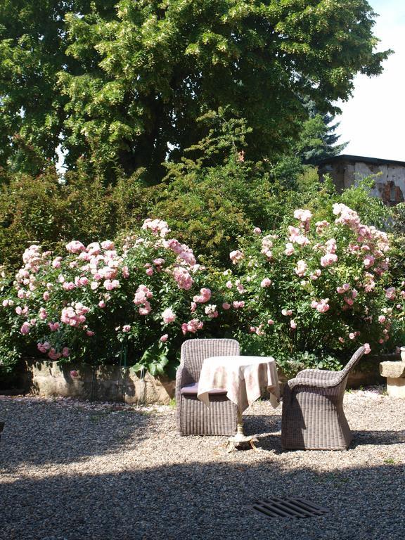 Pension Zur Koeniglichen Ausspanne Дрезден Экстерьер фото